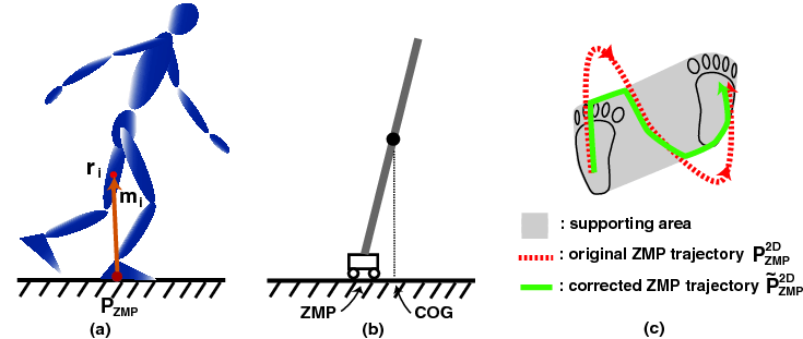 Zero Moment Point (ZMP) image-12.png